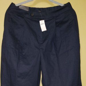 Banana Republic Wide Leg Blue pants